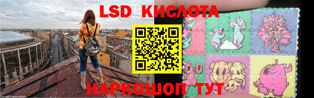 Лсд 25 экстази кислота Новороссийск