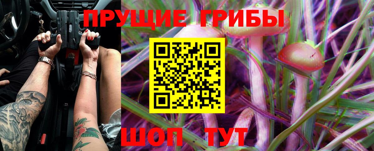 Псилоцибиновые грибы Psilocybe  Вход с VPN  Новороссийск 