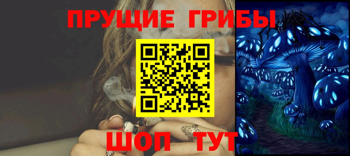 Галлюциногенные грибы прущие грибы Новороссийск